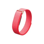 Google Fitbit Air - Image 2